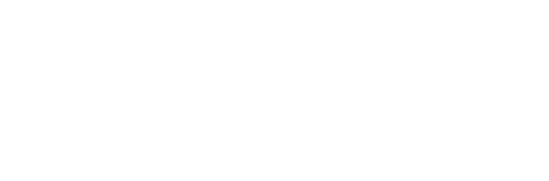 Pinnacle Travel Group Logo